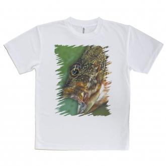 【Tシャツ】カサゴ