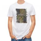 【Tシャツ】エギングにアオリイカ