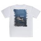 【Tシャツ】カディス