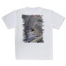 【Tシャツ】クロダイ(チヌ)の目
