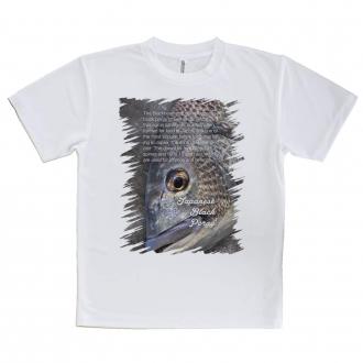 【Tシャツ】クロダイ(チヌ)の目