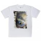 【Tシャツ】ヘラブナ