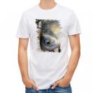 【Tシャツ】ヘラブナ