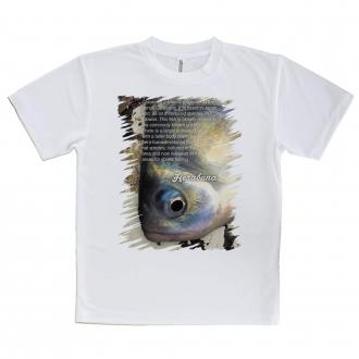 【Tシャツ】ヘラブナ
