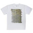 【Tシャツ】ヘラブナの鱗
