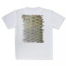 【Tシャツ】ヘラブナの鱗