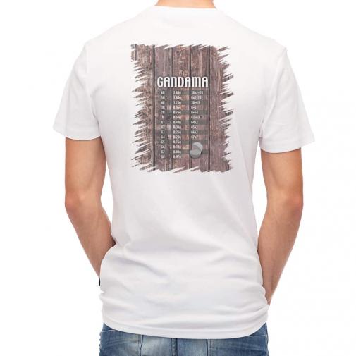 【Tシャツ】ガン玉換算表