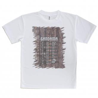 【Tシャツ】ガン玉換算表