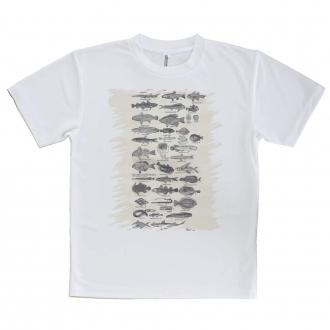 【Tシャツ】魚図鑑　1890年版