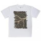 【Tシャツ】サンゴ　#1