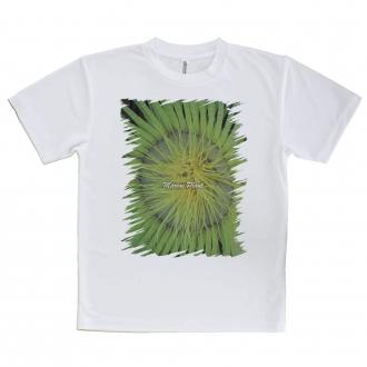 【Tシャツ】サンゴ　#2