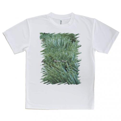 【Tシャツ】サンゴ　#6
