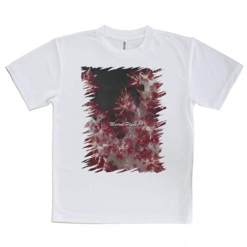 【Tシャツ】サンゴ　#8