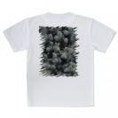 【Tシャツ】サンゴ　#10