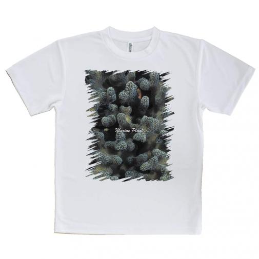 【Tシャツ】サンゴ　#10