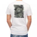 【Tシャツ】サンゴ　#11