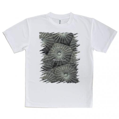【Tシャツ】サンゴ　#11