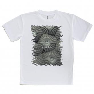 【Tシャツ】サンゴ　#11