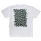 【Tシャツ】サンゴ　#12