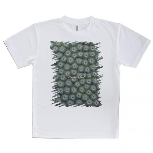 【Tシャツ】サンゴ　#12