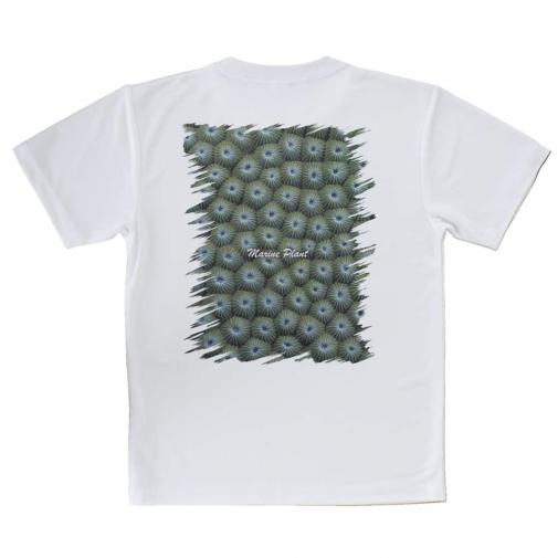 【Tシャツ】サンゴ　#12