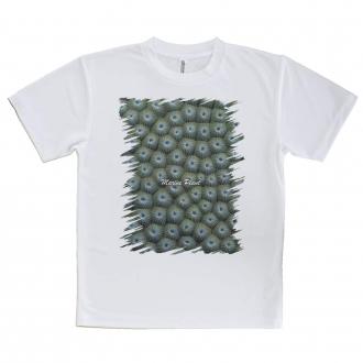 【Tシャツ】サンゴ　#12