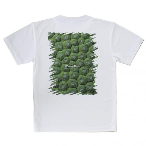 【Tシャツ】サンゴ　#13