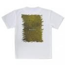 【Tシャツ】サンゴ　#14