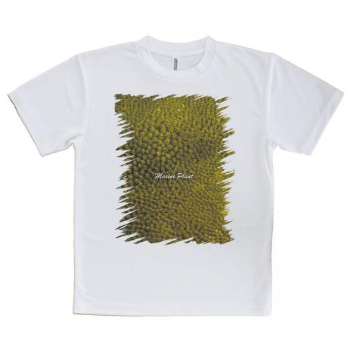 【Tシャツ】サンゴ　#14