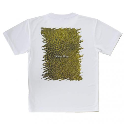 【Tシャツ】サンゴ　#14