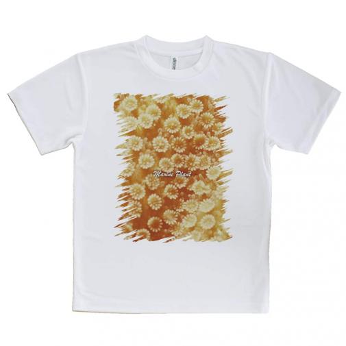 【Tシャツ】サンゴ　#16