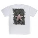 【Tシャツ】サンゴ　#17