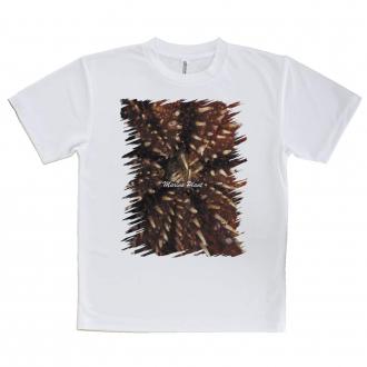 【Tシャツ】サンゴ　#19