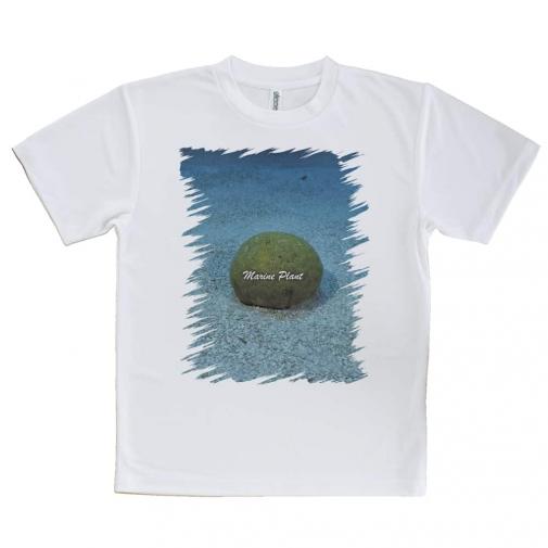 【Tシャツ】サンゴ　#20