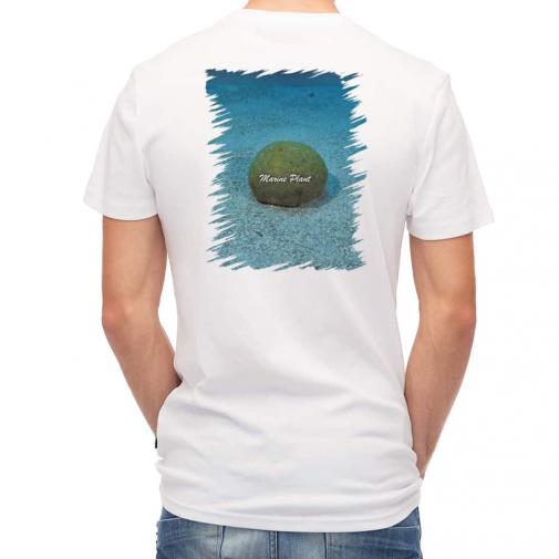 【Tシャツ】サンゴ　#20