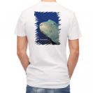 【Tシャツ】水中　ナポレオンフィッシュ