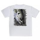 【Tシャツ】マアジ