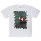 【Tシャツ】熱帯魚　No.2　カクレクマノミ