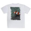 【Tシャツ】熱帯魚　No.2　カクレクマノミ