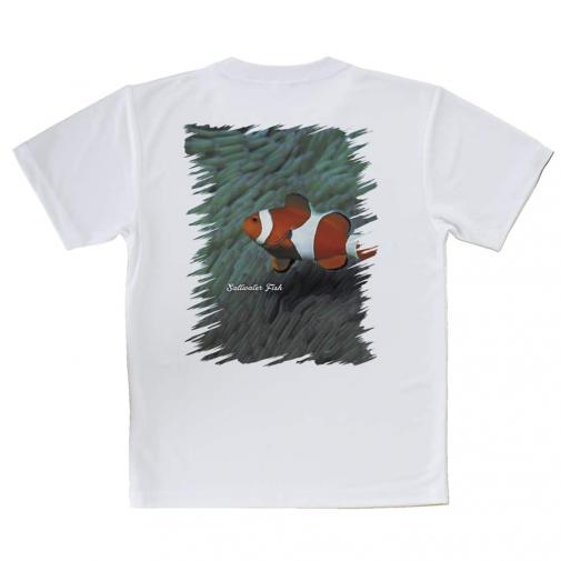 【Tシャツ】熱帯魚　No.2　カクレクマノミ