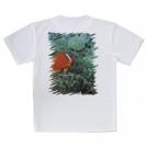 【Tシャツ】熱帯魚　No.3　ハマクマノミ
