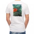 【Tシャツ】熱帯魚　No.3　ハマクマノミ