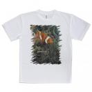 【Tシャツ】熱帯魚　No.4　カクレクマノミ