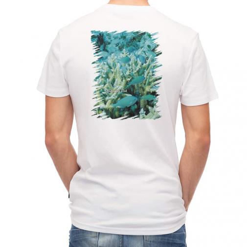 【Tシャツ】熱帯魚　No.6　デバスズメ