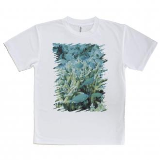 【Tシャツ】熱帯魚　No.6　デバスズメ