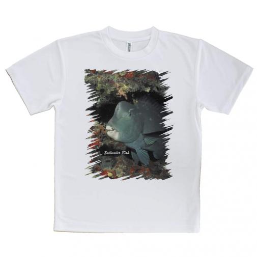 【Tシャツ】熱帯魚　No.7　アオブダイ