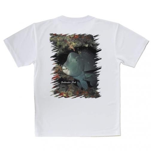 【Tシャツ】熱帯魚　No.7　アオブダイ