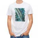 【Tシャツ】熱帯魚　No.8　キュウセンベラ