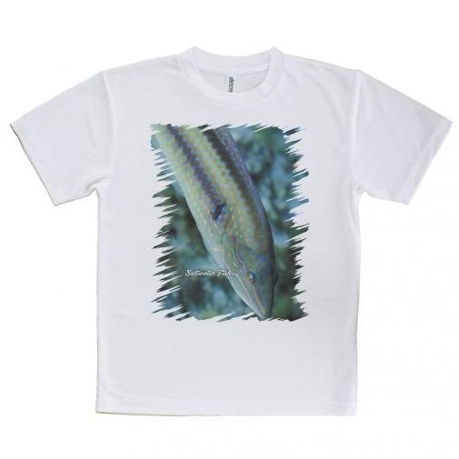 【Tシャツ】熱帯魚　No.8　キュウセンベラ
