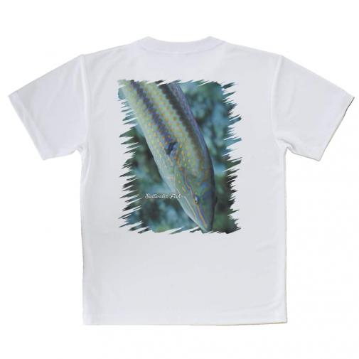 【Tシャツ】熱帯魚　No.8　キュウセンベラ